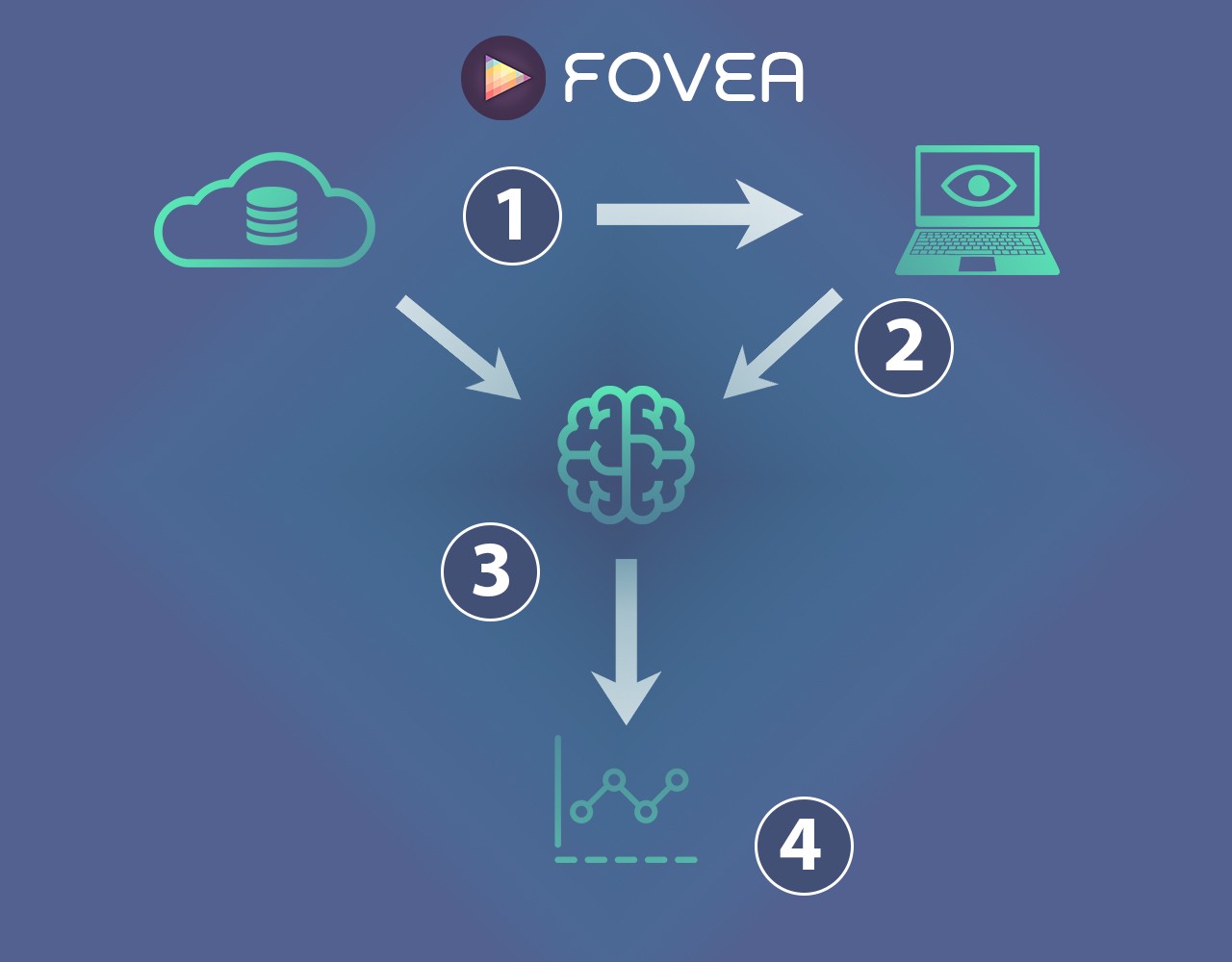 Fovea how it works